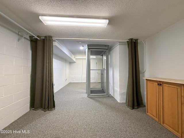 basement with carpet flooring and a textured ceiling