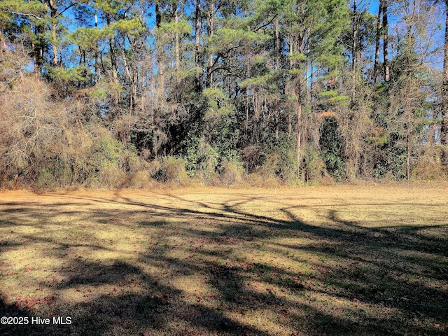 0 N W St, Roseboro NC, 28382 land for sale