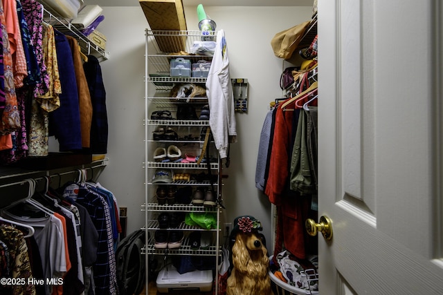 view of spacious closet