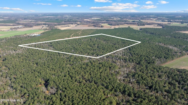 000 Cannan Rd, Newton Grove NC, 28366 land for sale