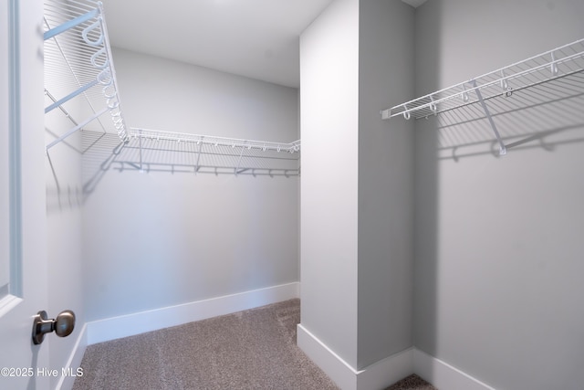 spacious closet with carpet flooring