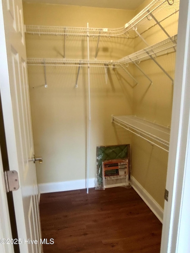 walk in closet featuring hardwood / wood-style flooring