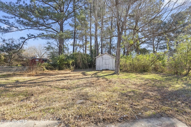 view of yard with a storage unit