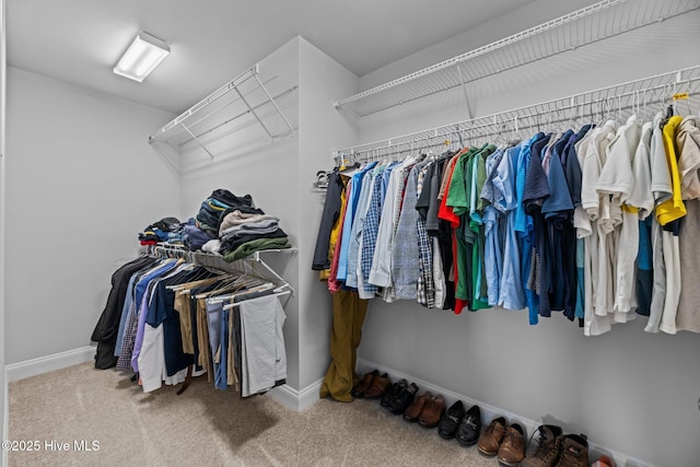 spacious closet with carpet flooring