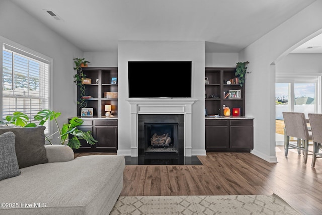 living room with a wealth of natural light and wood-type flooring