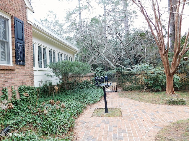 view of yard with a patio