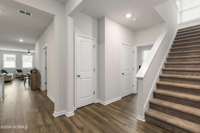 stairway with ceiling fan, plenty of natural light, and wood-type flooring