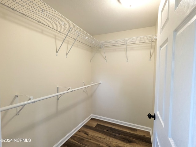 walk in closet with dark wood-type flooring