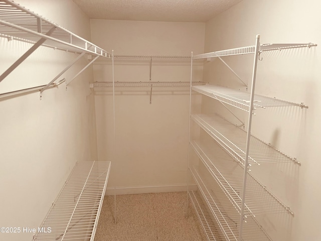 walk in closet with carpet floors