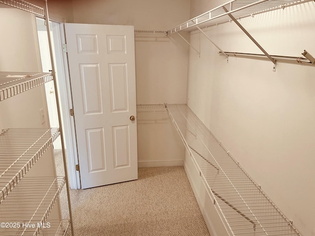 walk in closet featuring light carpet