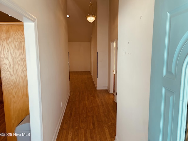 corridor featuring dark hardwood / wood-style floors