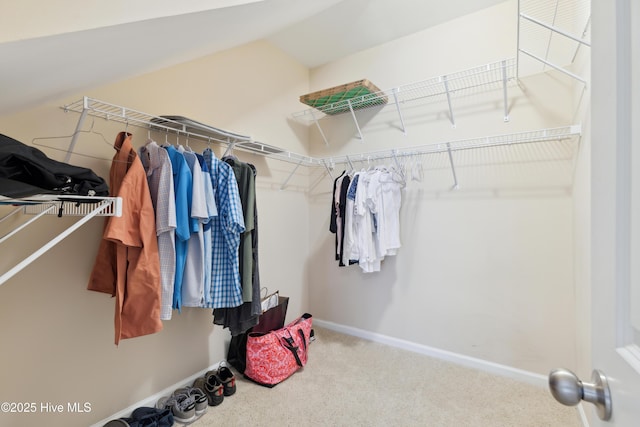 spacious closet featuring carpet flooring