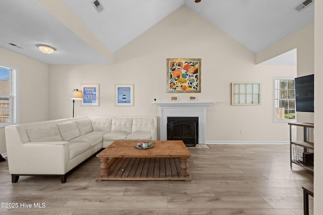 living room featuring lofted ceiling and light hardwood / wood-style flooring