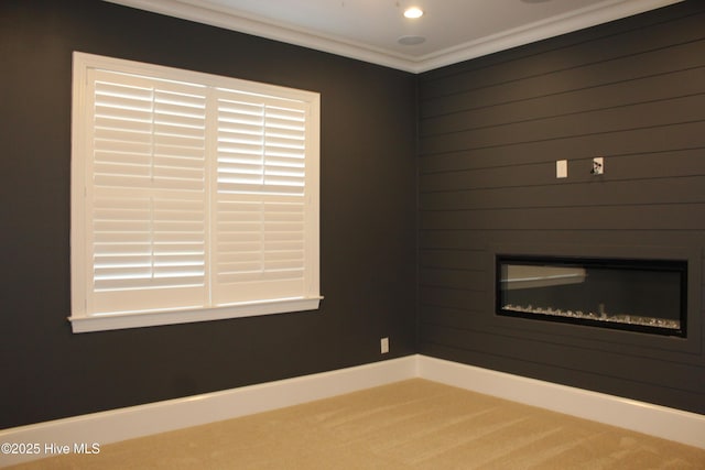 empty room featuring ornamental molding and carpet