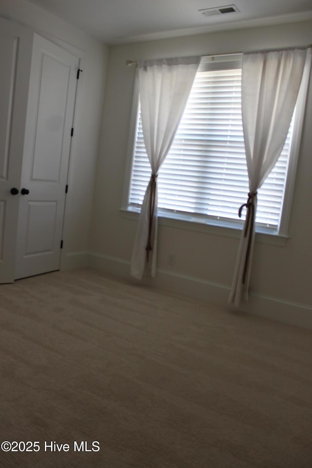 spare room featuring light carpet and a wealth of natural light