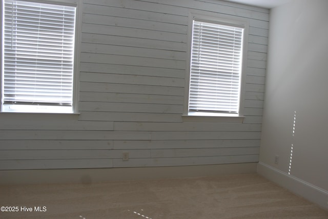 interior space with wood walls