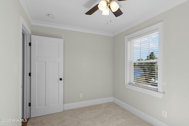 carpeted spare room with ceiling fan and ornamental molding