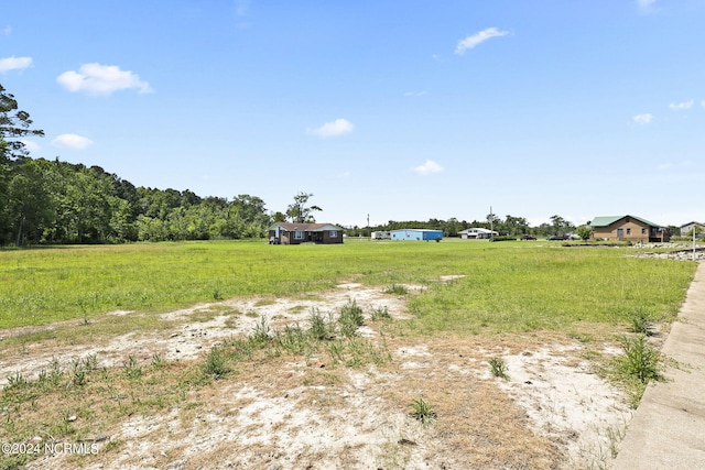 view of yard with a rural view