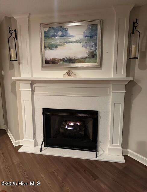 interior details featuring hardwood / wood-style flooring and a premium fireplace