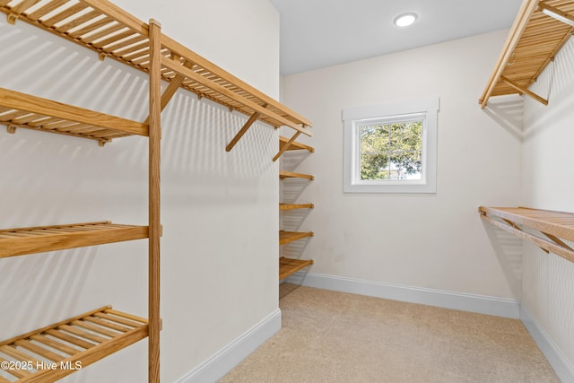 walk in closet featuring carpet