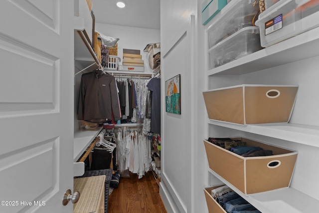 spacious closet featuring dark hardwood / wood-style floors