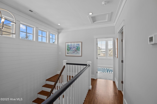 hall with dark hardwood / wood-style flooring and ornamental molding