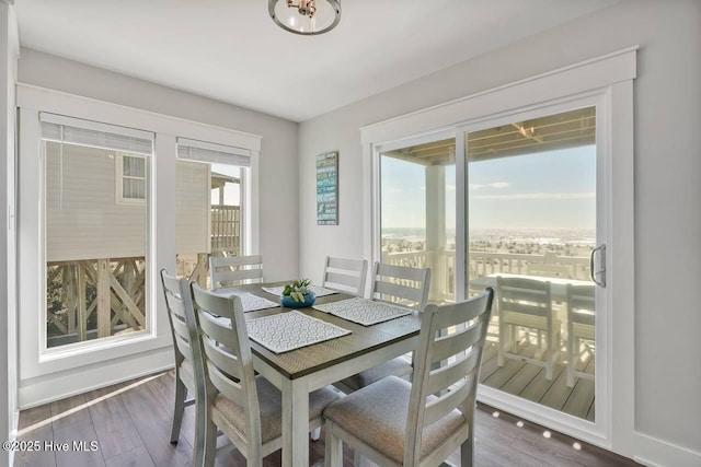 dining space with hardwood / wood-style flooring