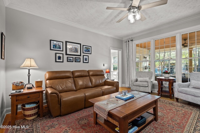 living room featuring ceiling fan, crown molding, and a textured ceiling