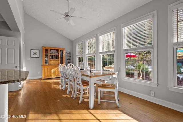 dining room with lofted ceiling, sink, ceiling fan, light wood-type flooring, and a textured ceiling