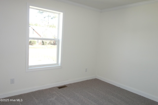 carpeted spare room featuring ornamental molding