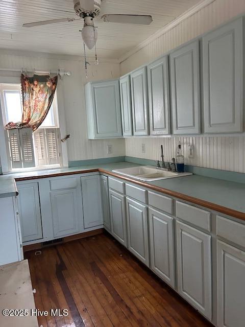 kitchen with ceiling fan, sink, and dark hardwood / wood-style flooring