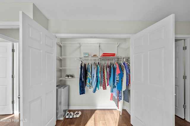 view of closet