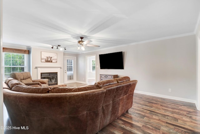 living room with ceiling fan, dark hardwood / wood-style flooring, and ornamental molding