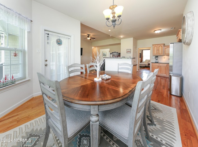 dining area with ceiling fan with notable chandelier, light hardwood / wood-style floors, and a wealth of natural light