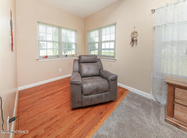 bedroom featuring a spacious closet, ceiling fan, ensuite bathroom, light carpet, and a closet