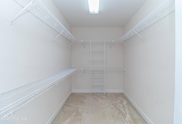 walk in closet featuring light colored carpet