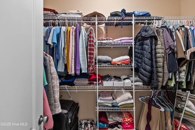 view of spacious closet