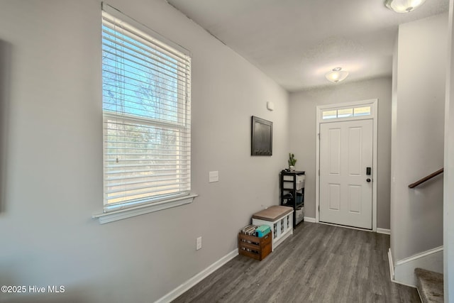 foyer with hardwood / wood-style flooring