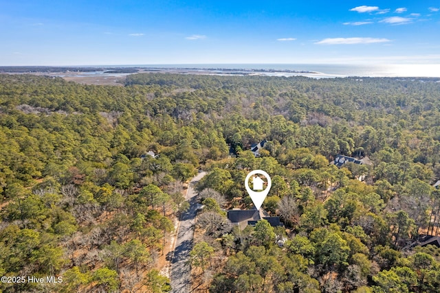 552 Glenmora Ave SW, Supply, NC 28462 - bird's eye view of a forest