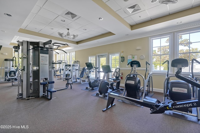 workout area featuring a paneled ceiling, plenty of natural light, a tray ceiling, and ornamental molding