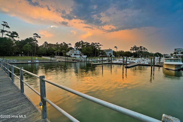 property view of water with a dock