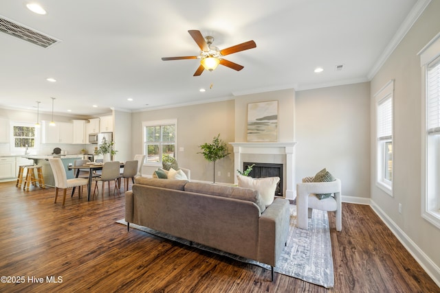 living room featuring ceiling fan, dark wood-type flooring, and crown molding