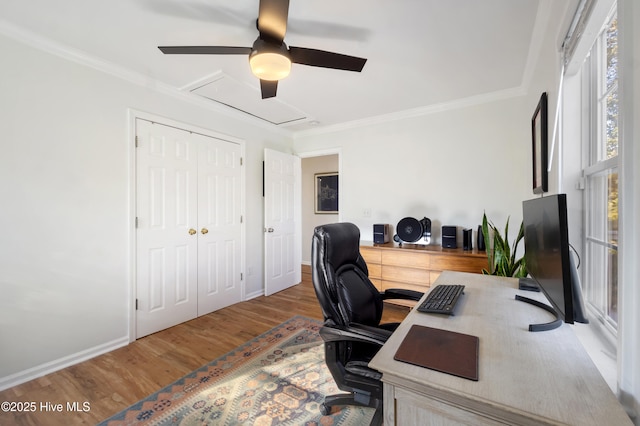 office area featuring ceiling fan, crown molding, and wood-type flooring