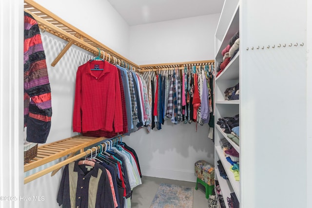 view of spacious closet