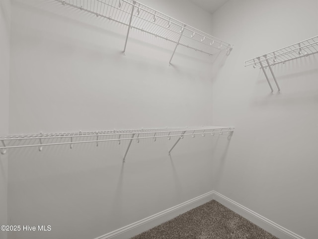 spacious closet with dark colored carpet