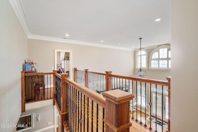 hallway featuring light hardwood / wood-style flooring and ornamental molding