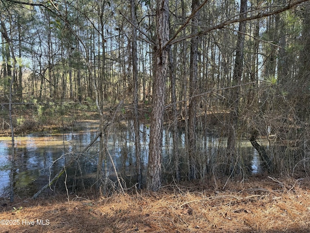 view of water feature with a view of trees
