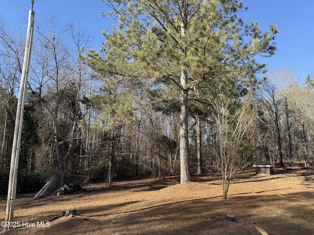 view of yard with a wooded view