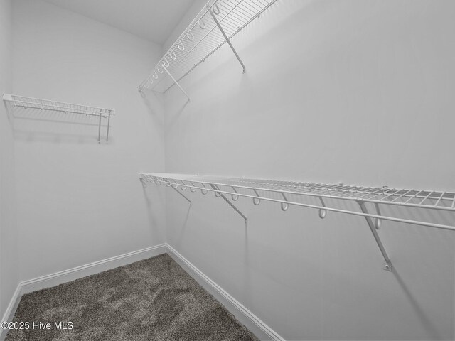 spacious closet with carpet