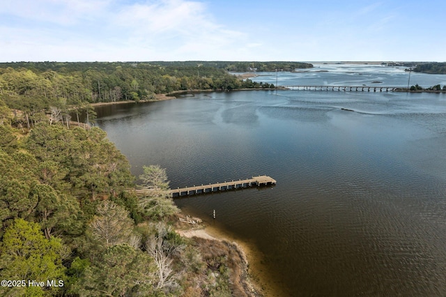 bird's eye view with a view of trees and a water view